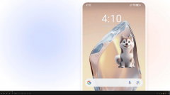 功能正在分歧地域